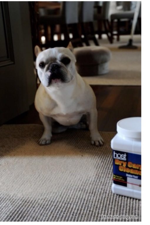 Host® Dry Carpet Cleaner Shaker Pack™ - Image 5